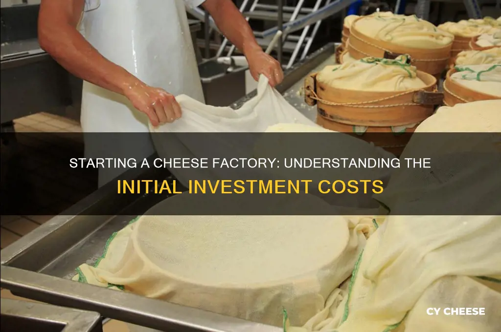 how much does it cost to start a cheese factory