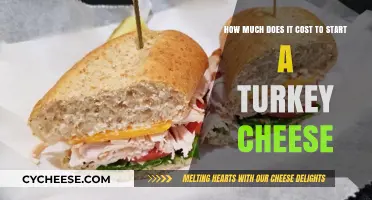 Starting a Turkey Cheese Business: Uncovering the Initial Investment Costs