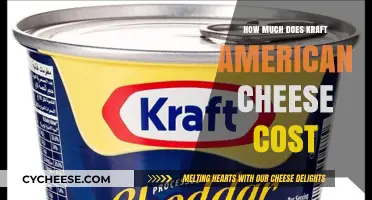 Kraft American Cheese Price Guide: Cost Breakdown and Shopping Tips