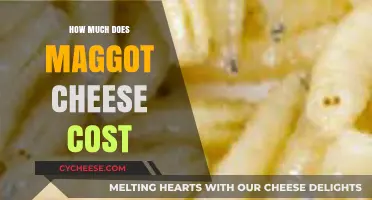 Exploring the Price of Maggot Cheese: A Costly Delicacy?