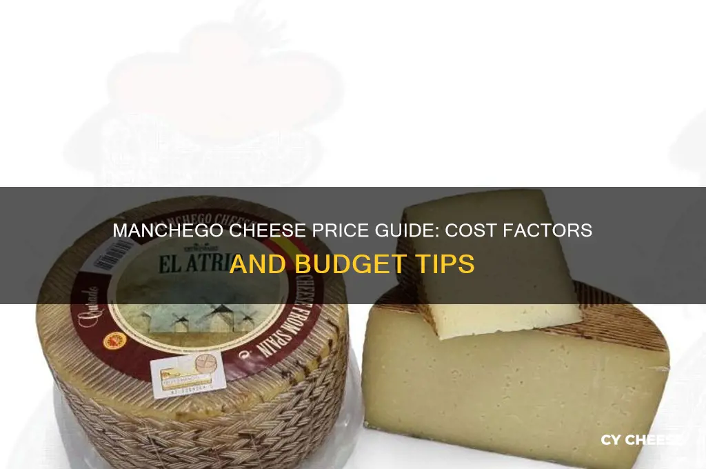 how much does manchego cheese cost