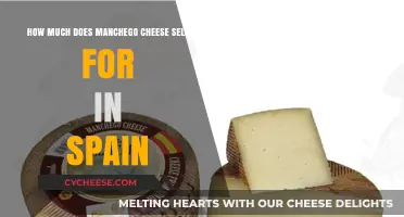 Manchego Cheese Prices in Spain: A Comprehensive Guide for Buyers