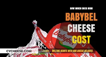 Mini Babybel Cheese Price Guide: Costs and Budget-Friendly Tips