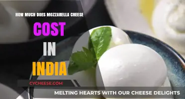 Mozzarella Cheese Price in India: Cost, Brands, and Buying Tips