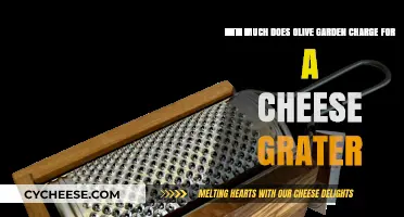 Olive Garden's Cheese Grater Cost: What You Need to Know