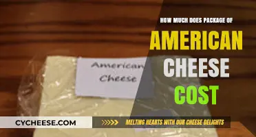 American Cheese Price Guide: How Much Does a Package Cost?