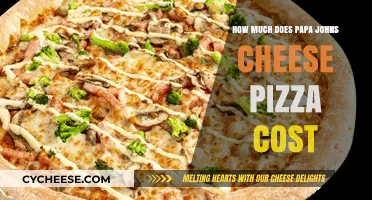 Papa John's Cheese Pizza Price: Cost Breakdown and Value Analysis