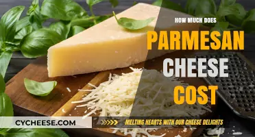 Understanding the Price of Parmesan Cheese: Costs and Factors Explained
