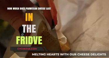 Parmesan Cheese Shelf Life: How Long Does It Last in the Fridge?