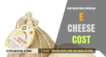 Provolone Cheese Price Guide: Costs, Factors, and Budget-Friendly Tips