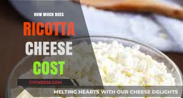 Ricotta Cheese Price Guide: Cost Factors and Budget-Friendly Tips