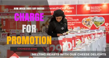 Say Cheese Promotion Costs: Pricing Details for Influencer Marketing