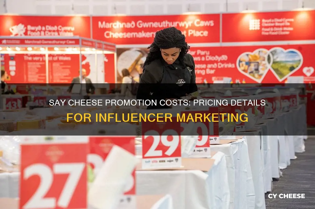 how much does say cheese charge for promotion