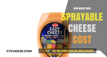 Sprayable Cheese Price Guide: Cost Breakdown and Budget Tips