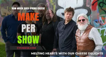 String Cheese Incident Earnings: How Much Do They Make Per Show?