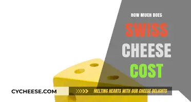 Swiss Cheese Pricing Guide: Average Costs and Factors Affecting Price