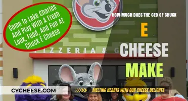 Unveiling the Salary: Chuck E. Cheese CEO's Compensation Revealed