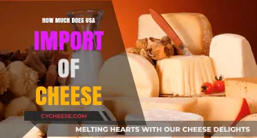 USA's Cheese Imports: Costs, Trends, and Global Suppliers Revealed
