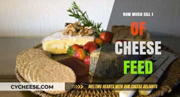 How Much Cheese Does 1 Pound Feed? A Serving Guide