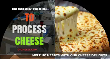 Energy Consumption in Cheese Processing: A Detailed Analysis