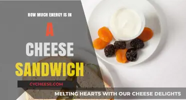Unveiling the Surprising Caloric Power of a Cheese Sandwich