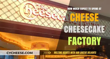 Budgeting for Indulgence: Cheese Cheesecake Factory Cost Breakdown