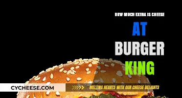 Burger King Cheese Upgrade: Cost and Value Breakdown