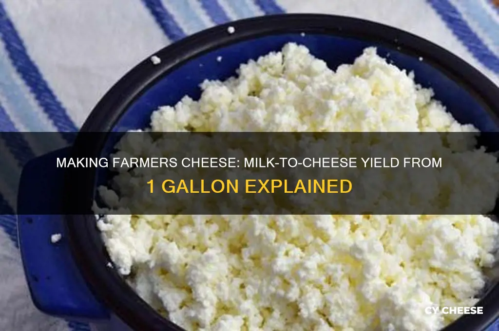 how much farmers cheese does 1 gallon of milk make