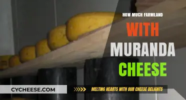 Muranda Cheese Production: Understanding Farmland Requirements for Optimal Yield