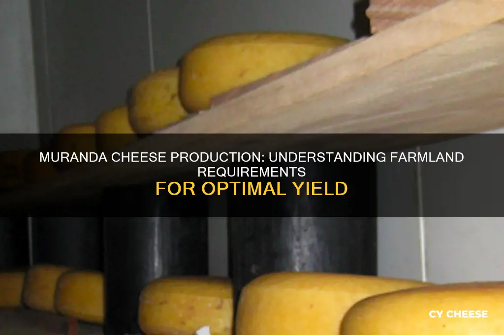 how much farmland with muranda cheese