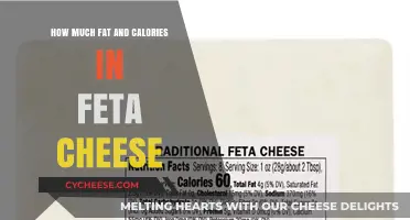 Feta Cheese Nutrition: Uncovering Fat and Calorie Content