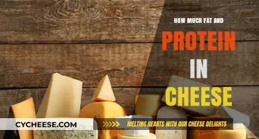 Cheese Nutrition Breakdown: Fat and Protein Content Explained