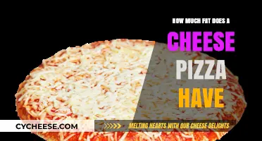 Cheese Pizza Fat Content: Uncovering the Caloric Truth in Every Slice