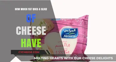Cheese Fat Content: Uncovering the Truth About a Slice's Fat