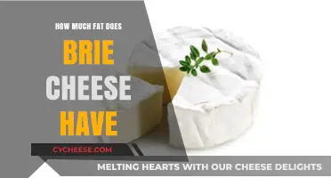 Brie Cheese Fat Content: Uncovering the Creamy Truth and Nutritional Facts