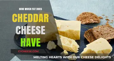 Cheddar Cheese Fat Content: Understanding Its Nutritional Value and Impact