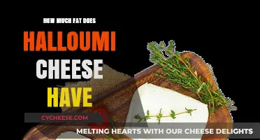 Halloumi Cheese Fat Content: A Nutritional Breakdown and Health Insights