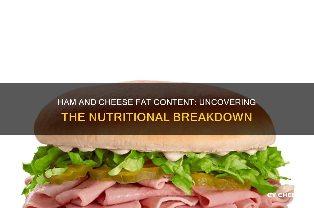 how much fat does ham and cheese have