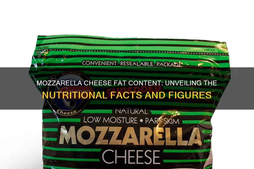 how much fat does mozzarella cheese have