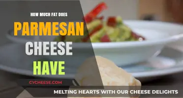 Parmesan Cheese Fat Content: Nutritional Insights and Health Considerations