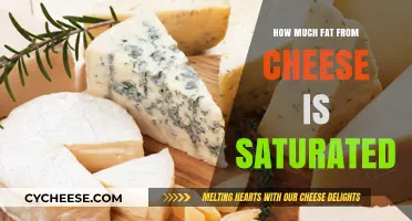 Understanding Saturated Fat Content in Cheese: A Nutritional Breakdown