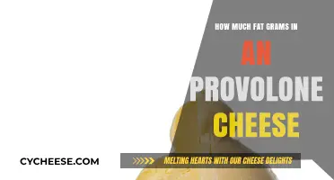 Provolone Cheese Fat Content: Grams Per Serving Revealed