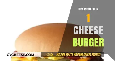 Cheeseburger Fat Content: Uncovering the Caloric Truth in One Bite