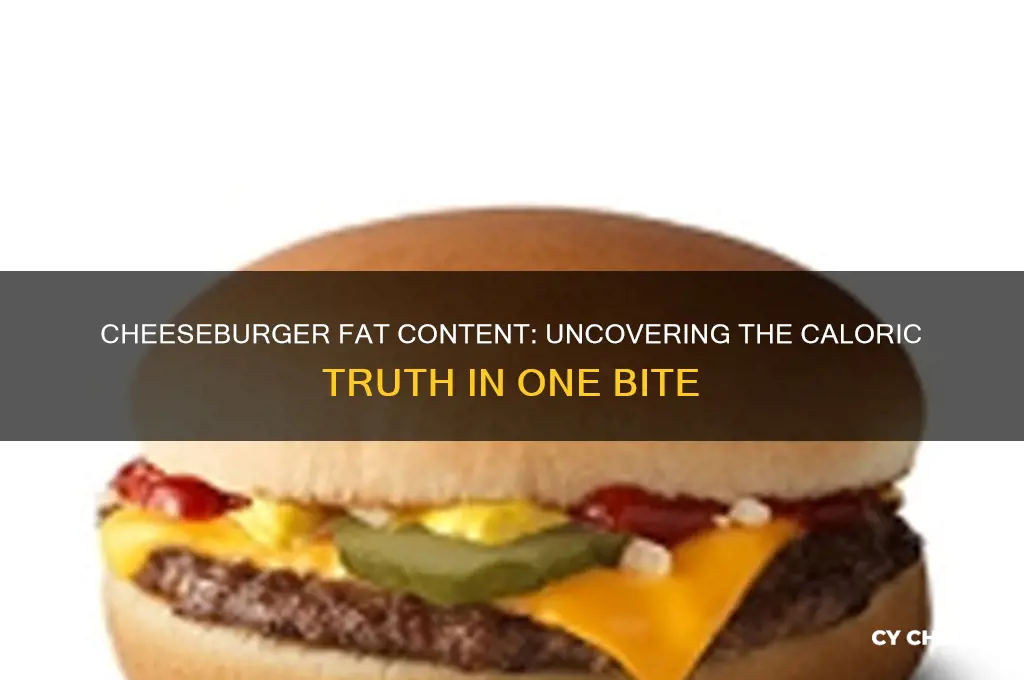 how much fat in 1 cheese burger
