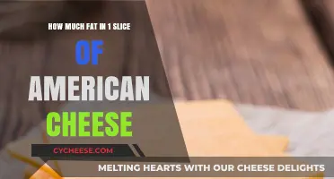 American Cheese Fat Content: Uncovering the Truth in One Slice