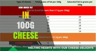 Cheese Fat Content: Uncovering the Amount in 100g Portions