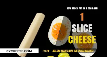 Fat Content in 2 Eggs and 1 Slice of Cheese: A Breakdown
