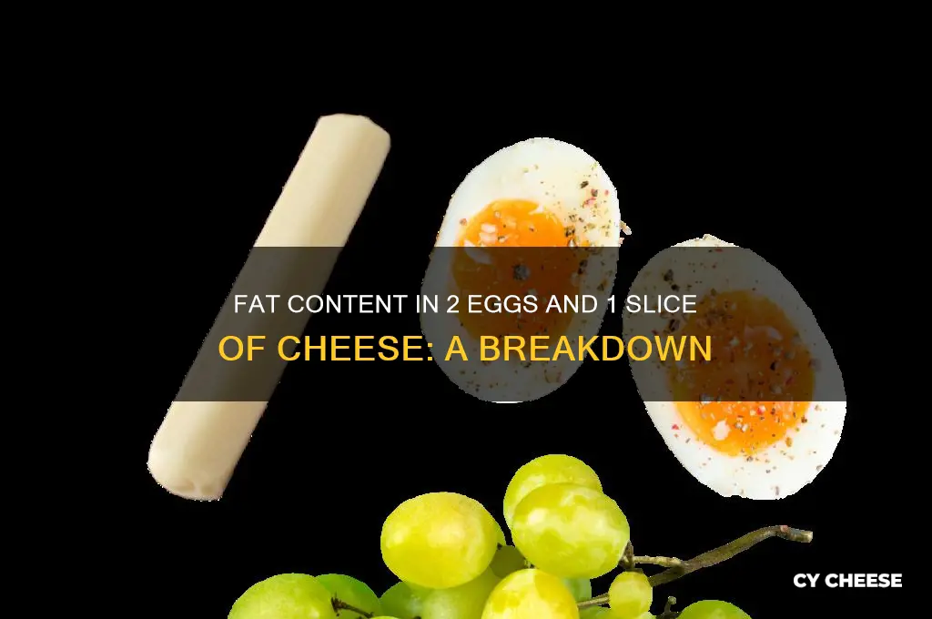 how much fat in 2 eggs and 1 slice cheese