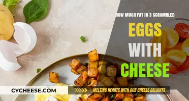 Scrambled Eggs with Cheese: Uncovering the Fat Content in Your Breakfast