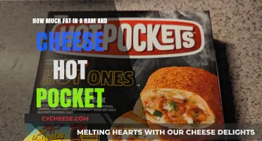 Ham and Cheese Hot Pocket: Uncovering Its Fat Content and Nutrition